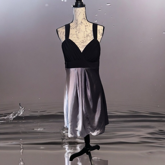 dressbarn Dresses & Skirts - Dressbarn Black and Silver Dress Size 12